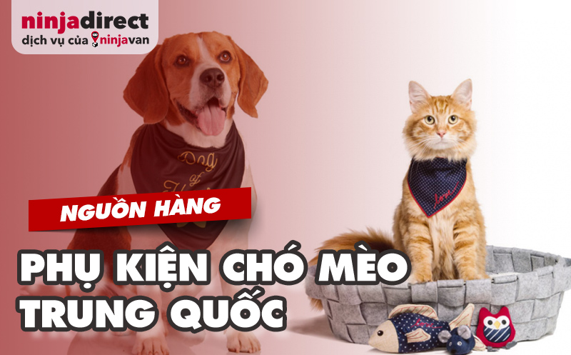 Nguồn Hàng Sỉ Phụ Kiện Chó Mèo Trung Quốc Giá Tốt Nhất