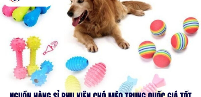 Nguồn Hàng Sỉ Phụ Kiện Chó Mèo Trung Quốc Giá Tốt Nhất