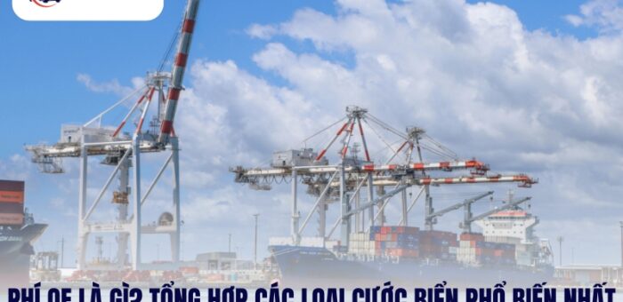 Phí OF Là Gì? Tổng Hợp Các Loại Cước Biển Phổ Biến Nhất