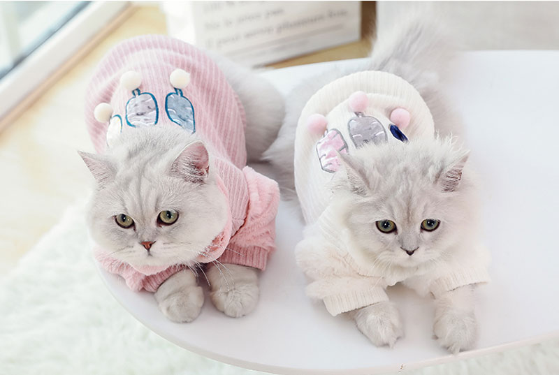 phụ kiện chó mèo